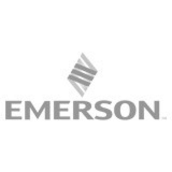 emerson_lodz